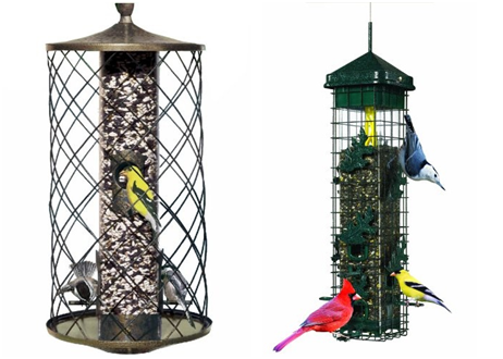 The Ultimate Guide To Squirrel Proof Bird Feeders Squirrel Proof