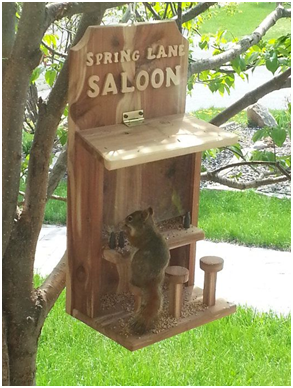 Best Squirrel Proof Bird Feeder Squirrel Proof Bird Feeder