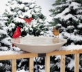 Allied Precision 20" Deck Mounted Heated Bird Bath (150 Watts)