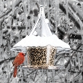 Arundale SkyCafe Squirrel Proof Bird Feeder