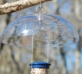 Aspects Bird Feeder Weather Dome