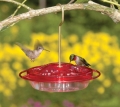 Aspects Hummzinger Little Fancy Hummingbird Feeder (8 oz)