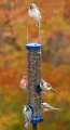 Aspects Quick-Clean Seed Feeder (Blue)