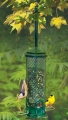 Squirrel Buster Mini Wild Bird Feeder