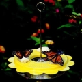 Birds Choice Flutterby Butterfly Feeder