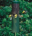 Birds Choice Classic Pole Mounted Feeder with Squirrel Baffle