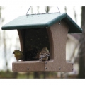 Birds Choice Small Recycled Plastic Hopper Bird Feeder