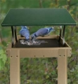 Birds Choice Recycled Plastic Covered Ground Feeder