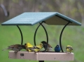 Birds Choice Recycled Fly Through Feeder