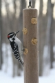 Birds Choice Recycled Plastic Suet Log Holder