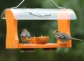 Birds Choice Fly Thru Oriole Feeder with Clear View roof