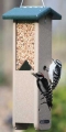 Birds Choice Recycled Plastic Woodpecker Feeder