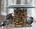 Birds Choice Magnet Mesh Peanut in the Shell Feeder