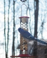 Birds Choice Stainless Steel Peanut in the Shell Feeder with Tray