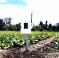 Davis 6345 Wireless Leaf & Soil Moisture/Temperature Station