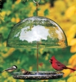 Droll Yankees Dorothy's Cardinal Feeder