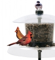 Droll Yankees Jagunda Squirrel Proof Bird Feeder