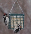 Droll Yankees Suet Feeder