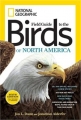 National Geographic Field Guide to Birds of North America 6th Edition