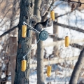 "Squirrel-Go-Round" Squirrel Feeder