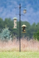 Bird Feeding Pole with Ground Socket and 4 Hooks