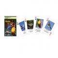 Playing Cards - Birds of North America