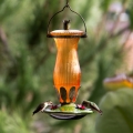 The Cape Honeysuckle Hummingbird Feeder (17 oz)