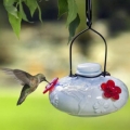 Parasol Bloom Calliope Hummingbird Feeder (20 oz) Milk Glass