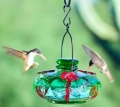 Parasol Bloom Calliope Hummingbird Feeder (20 oz) Green