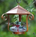 Parasol Bloom Shelter Hummingbird Feeder (16 oz) Clear