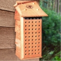 Mason Bee Lodge