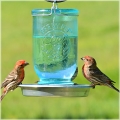 Mason Jar Bird Waterer