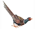 Crouching Garden Pheasant