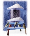 All Weather Feeder (4 Quart)