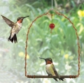 Copper Hummingbird Swing