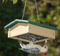 Recycled Plastic Upside Down Suet Feeder