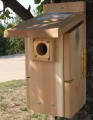 Cedar Ultimate Bluebird House