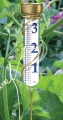 Grande View Rain Gauge (model VRG-6)