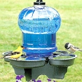 Bird Waterer & Bird Bath